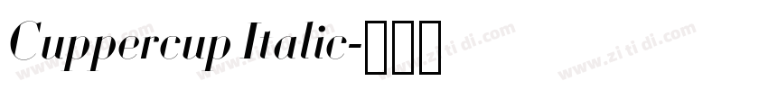 Cuppercup Italic字体转换